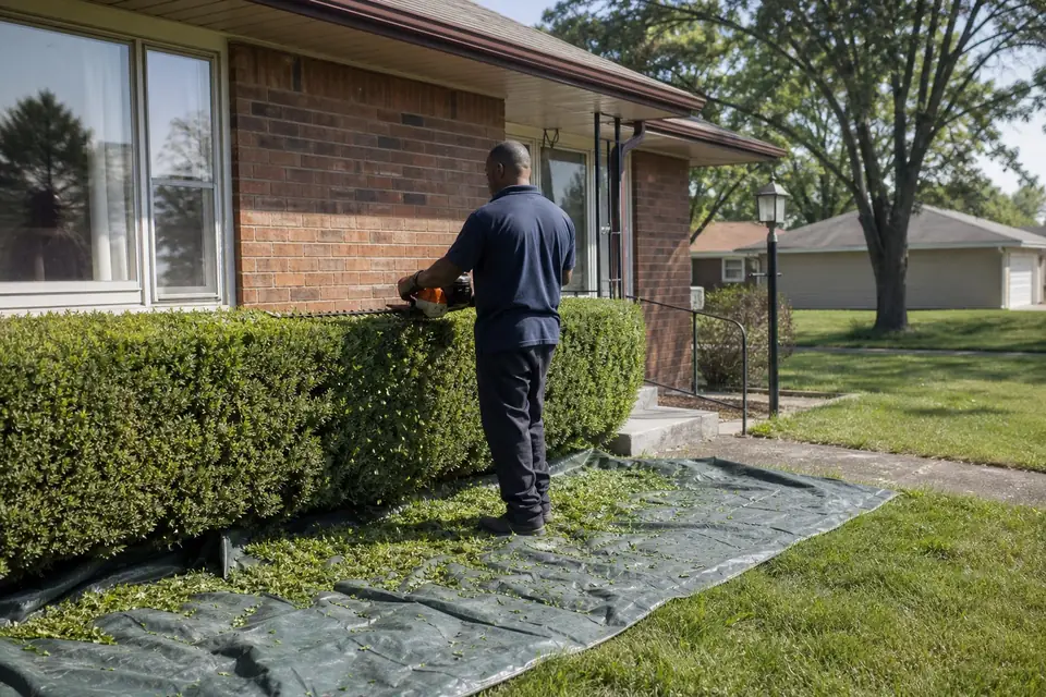 Crew member shaping foundation shrubs at a brick ranch