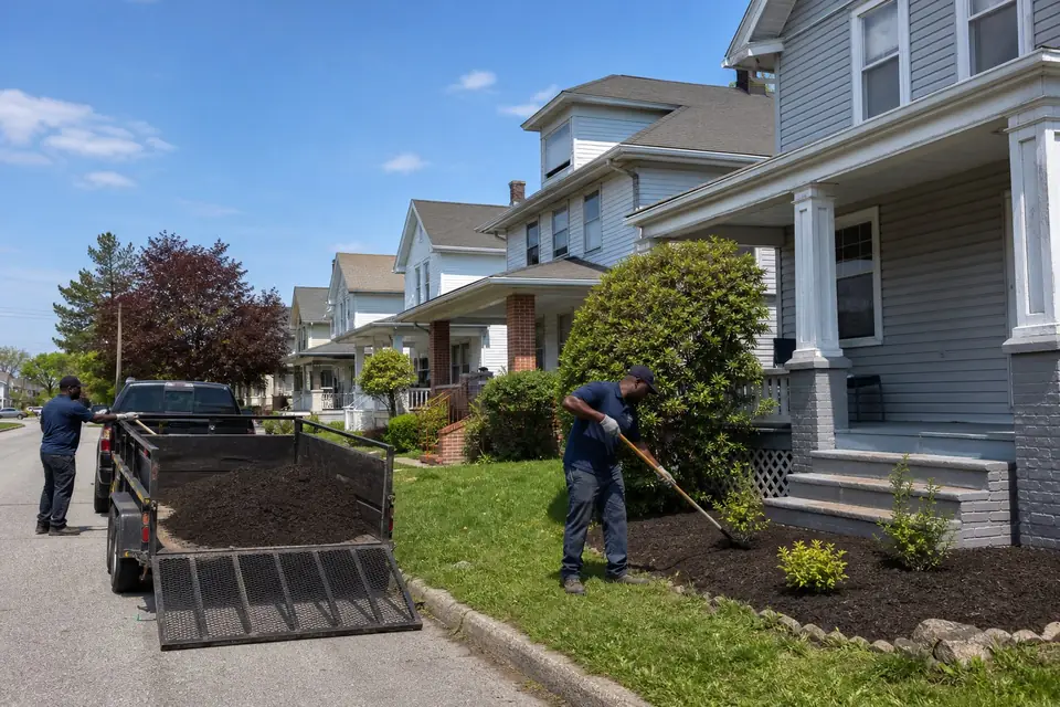 Worker mulching a porch bed on a street of older frame houses